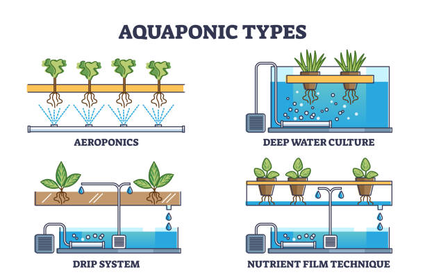 Aquaponics