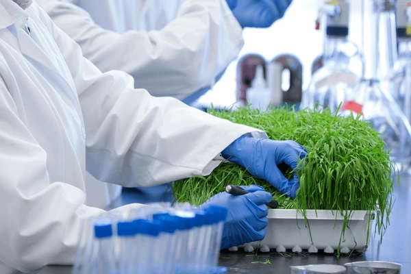 Agriculture Research & Development